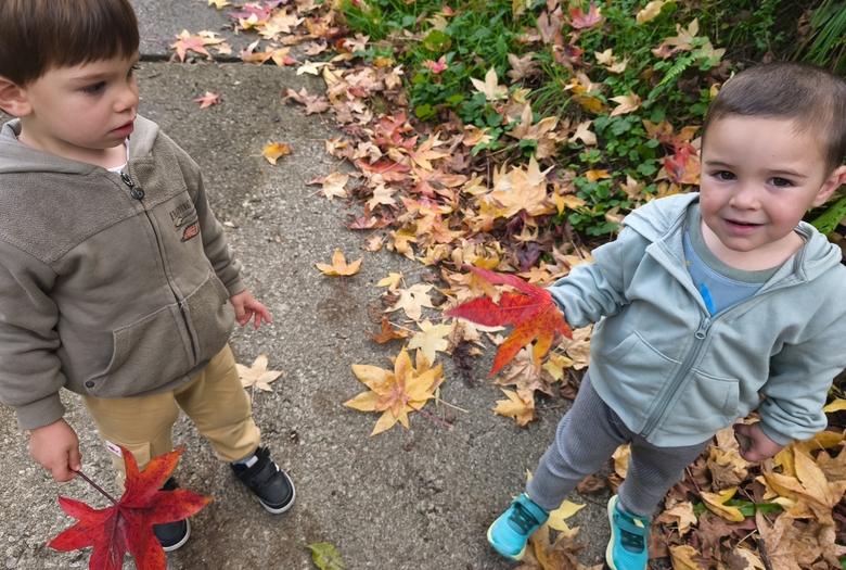 Udazken koloretan 2 urte