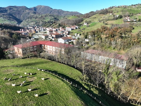 Hitzaurrea